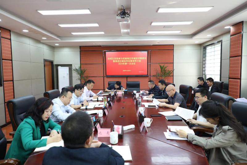 涪城区召开深度参与成渝地区双城经济圈建设暨推进区域协同发展领导小组2024年第一次会议